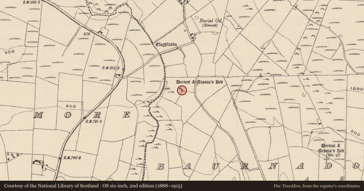 Ordnance Survey six-inch map, 2nd edition (1888–1915) covering the location of Megalithic tomb - wedge tomb, Baurnadomeeny, County Tipperary North, with a pin at the register's coordinates