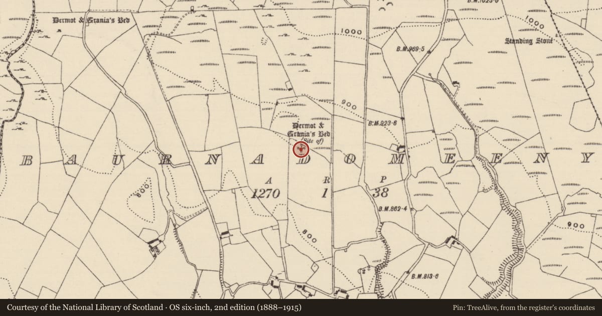 Ordnance Survey six-inch map, 2nd edition (1888–1915) covering the location of Megalithic structure, Baurnadomeeny, County Tipperary North, with a pin at the register's coordinates