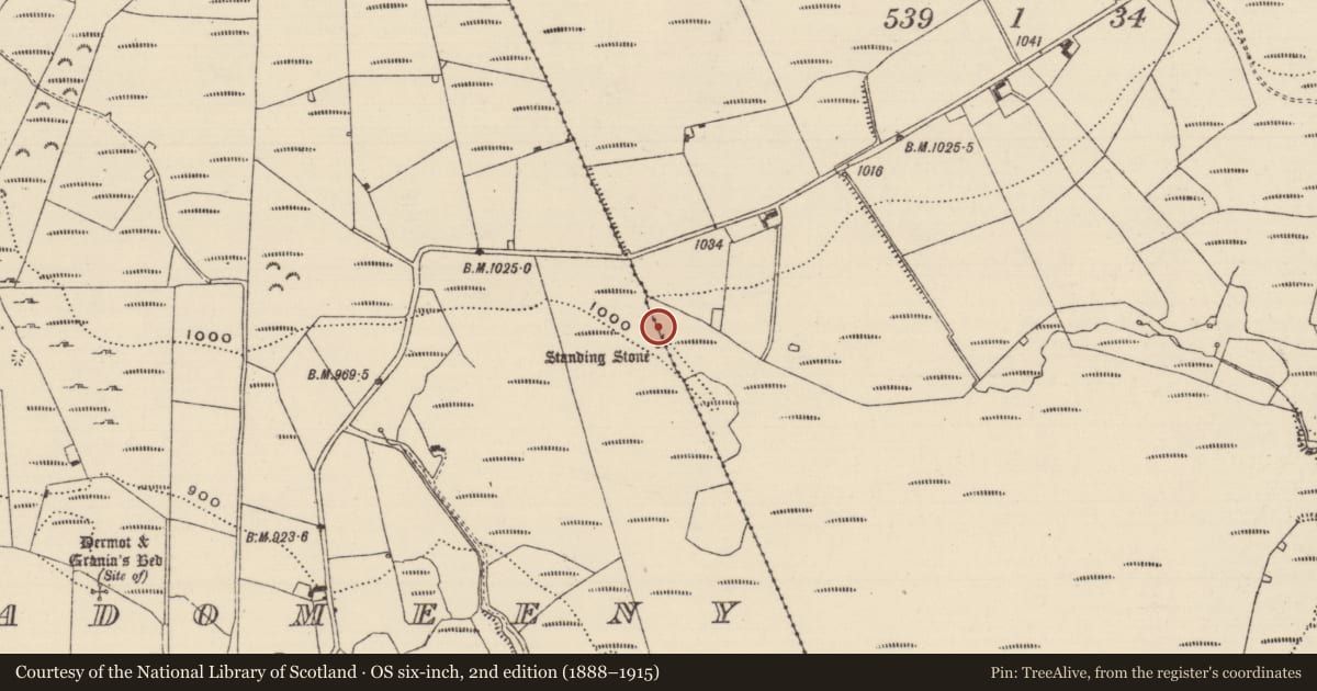 Ordnance Survey six-inch map, 2nd edition (1888–1915) covering the location of Standing stone, Baurnadomeeny, County Tipperary North, with a pin at the register's coordinates