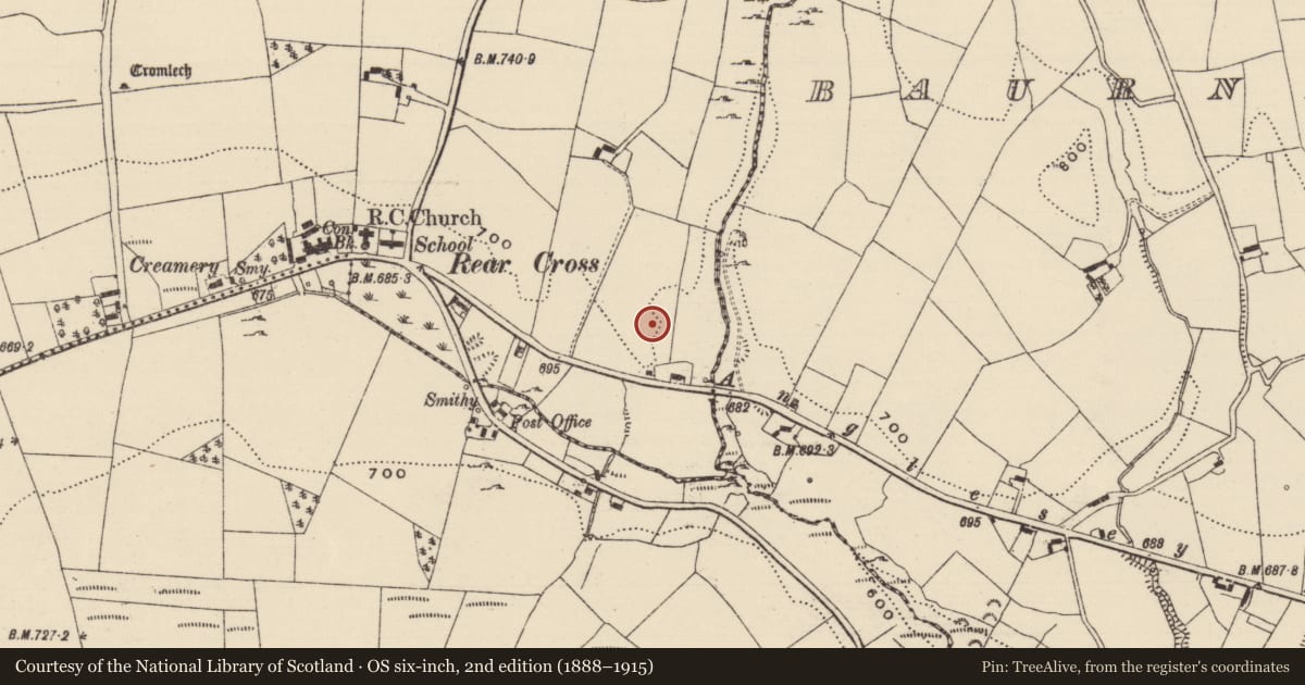 Ordnance Survey six-inch map, 2nd edition (1888–1915) covering the location of Pit-burial, Reardnogy More, County Tipperary North, with a pin at the register's coordinates