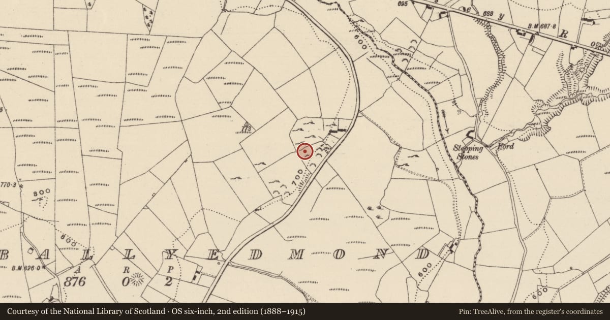 Ordnance Survey six-inch map, 2nd edition (1888–1915) covering the location of Megalithic tomb - court tomb, Shanballyedmond, County Tipperary North, with a pin at the register's coordinates