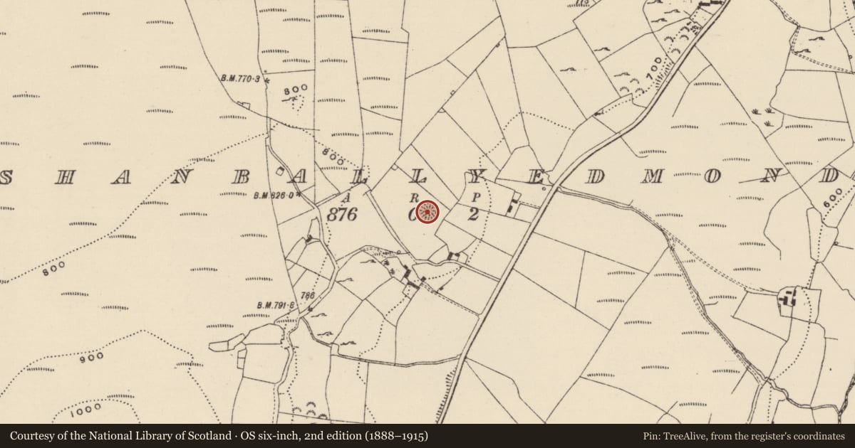 Ordnance Survey six-inch map, 2nd edition (1888–1915) covering the location of Ringfort - cashel, Shanballyedmond, County Tipperary North, with a pin at the register's coordinates