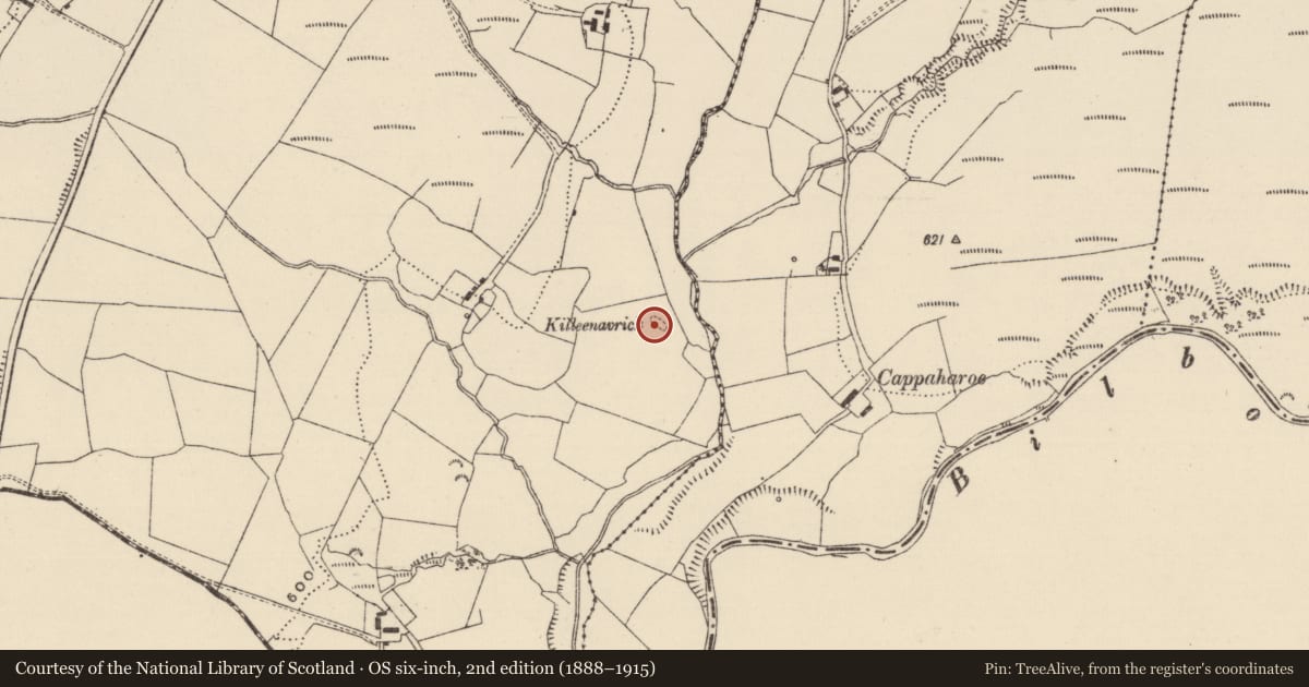 Ordnance Survey six-inch map, 2nd edition (1888–1915) covering the location of Children's burial ground, Shanballyedmond, County Tipperary North, with a pin at the register's coordinates