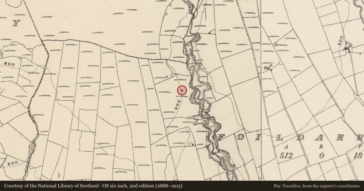 Ordnance Survey six-inch map, 2nd edition (1888–1915) covering the location of Enclosure, Coonmore, County Tipperary North, with a pin at the register's coordinates