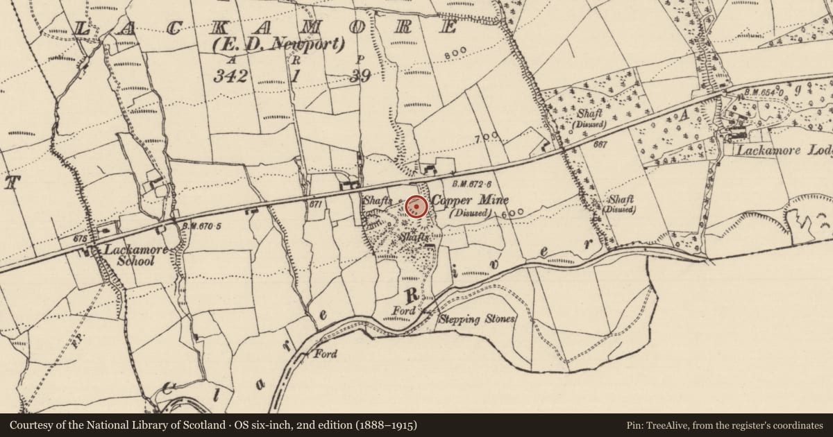 Ordnance Survey six-inch map, 2nd edition (1888–1915) covering the location of Mine - copper, Lackamore (Kilvellane Par.), County Tipperary North, with a pin at the register's coordinates