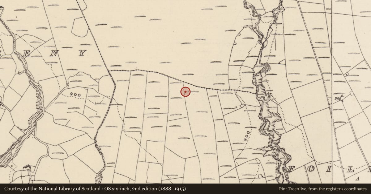 Ordnance Survey six-inch map, 2nd edition (1888–1915) covering the location of Megalithic tomb - unclassified, Coonmore, County Tipperary North, with a pin at the register's coordinates