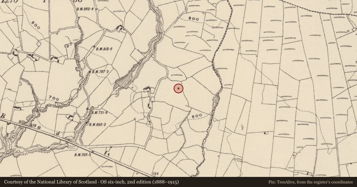 Ordnance Survey six-inch map, 2nd edition (1888–1915) covering the location of Standing stone - pair, Baurnadomeeny, County Tipperary North, with a pin at the register's coordinates