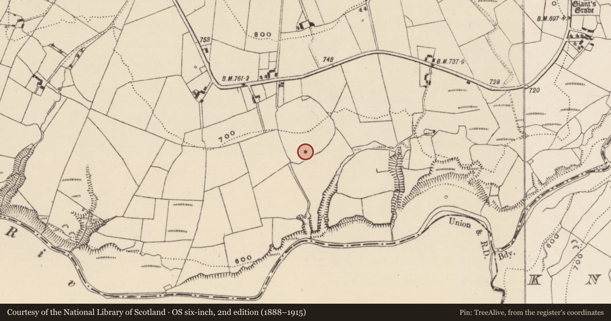 Ordnance Survey six-inch map, 2nd edition (1888–1915) covering the location of Field boundary, Coonmore, County Tipperary North, with a pin at the register's coordinates