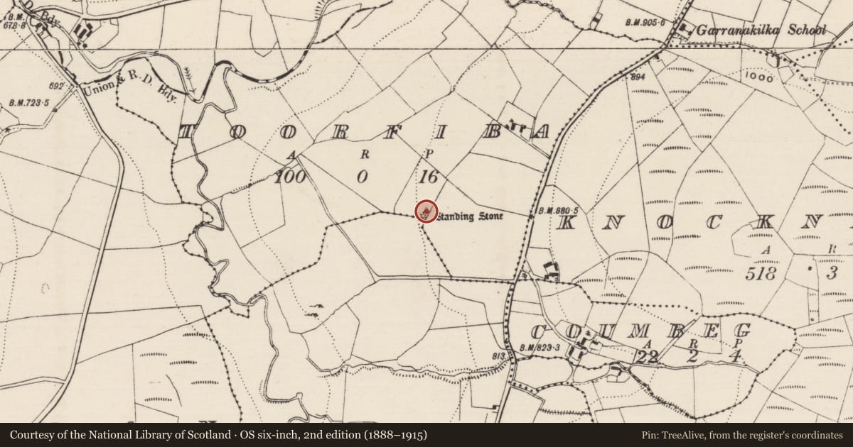Ordnance Survey six-inch map, 2nd edition (1888–1915) covering the location of Cist, Toorfiba, County Tipperary North, with a pin at the register's coordinates