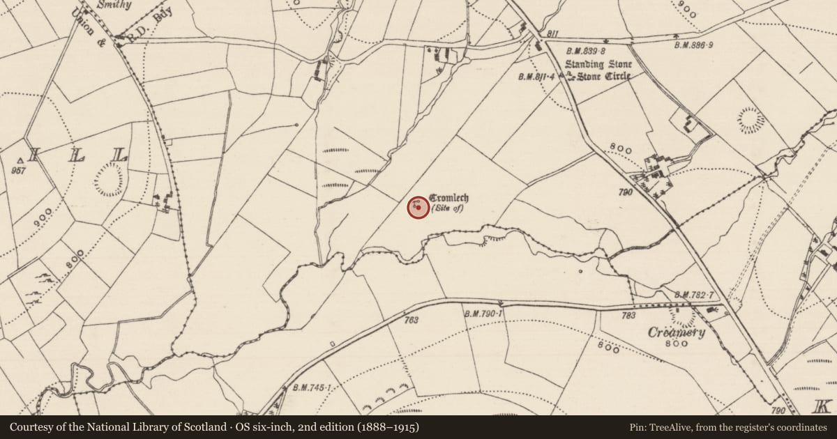 Ordnance Survey six-inch map, 2nd edition (1888–1915) covering the location of Megalithic structure, Reisk, County Tipperary North, with a pin at the register's coordinates