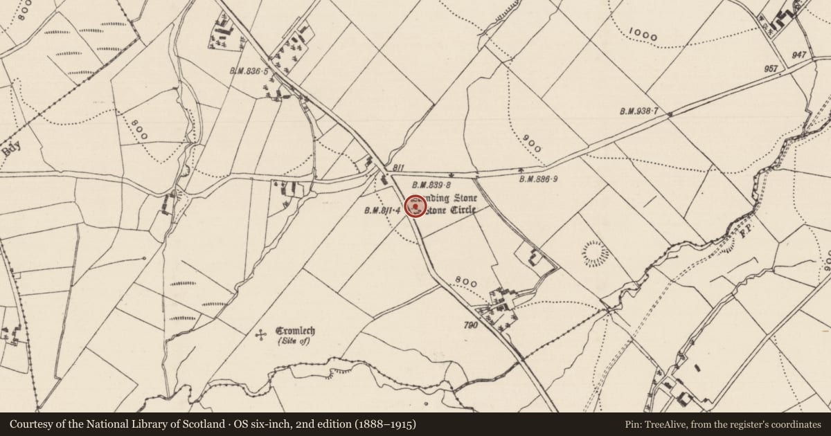 Ordnance Survey six-inch map, 2nd edition (1888–1915) covering the location of Stone circle, Reisk, County Tipperary North, with a pin at the register's coordinates