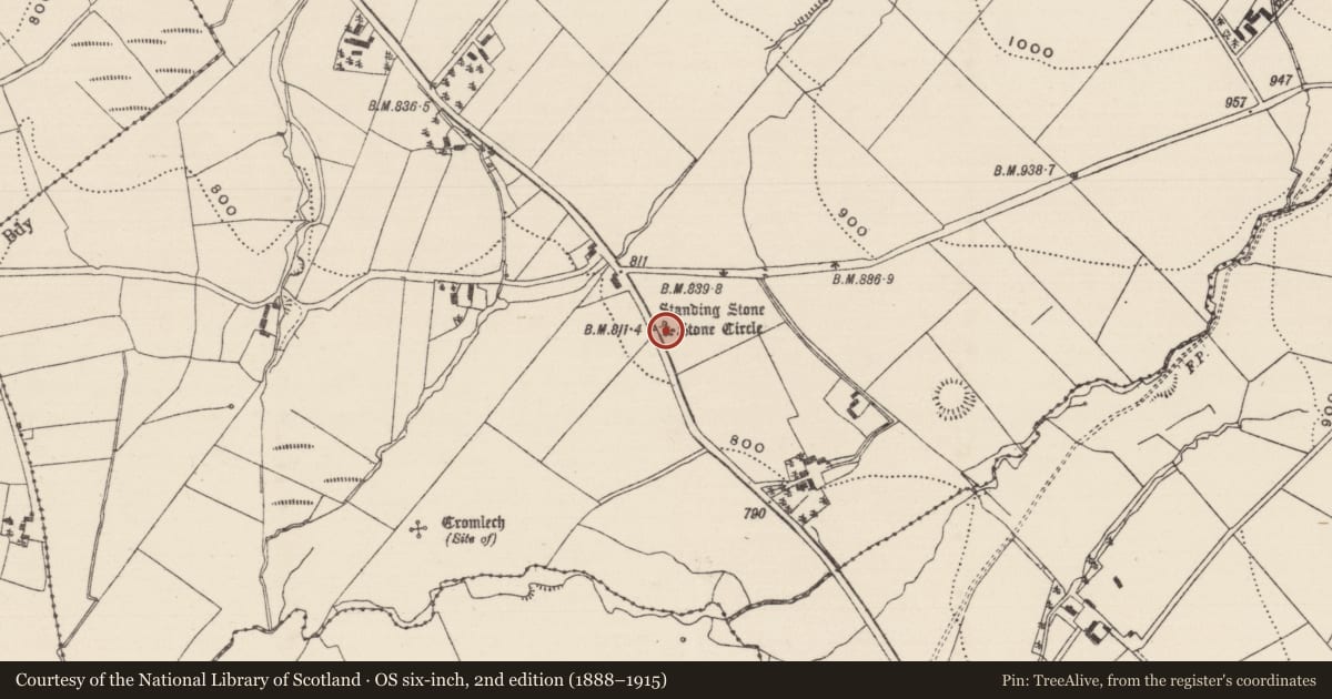 Ordnance Survey six-inch map, 2nd edition (1888–1915) covering the location of Standing stone, Reisk, County Tipperary North, with a pin at the register's coordinates