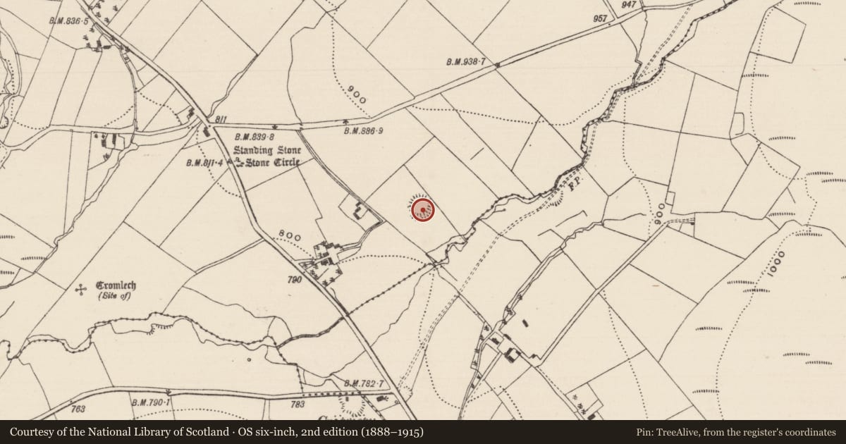 Ordnance Survey six-inch map, 2nd edition (1888–1915) covering the location of Ringfort - rath, Reisk, County Tipperary North, with a pin at the register's coordinates