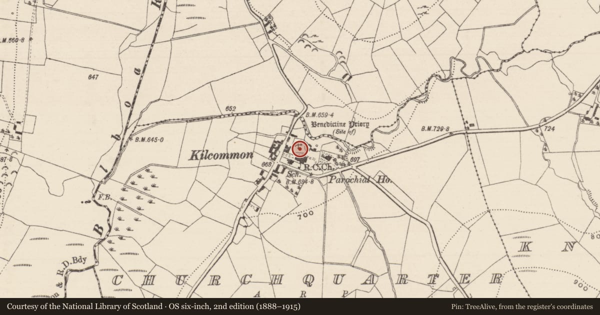 Ordnance Survey six-inch map, 2nd edition (1888–1915) covering the location of Church, Churchquarter, County Tipperary North, with a pin at the register's coordinates