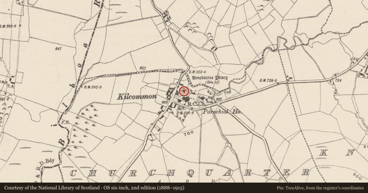 Ordnance Survey six-inch map, 2nd edition (1888–1915) covering the location of Graveyard, Churchquarter, County Tipperary North, with a pin at the register's coordinates