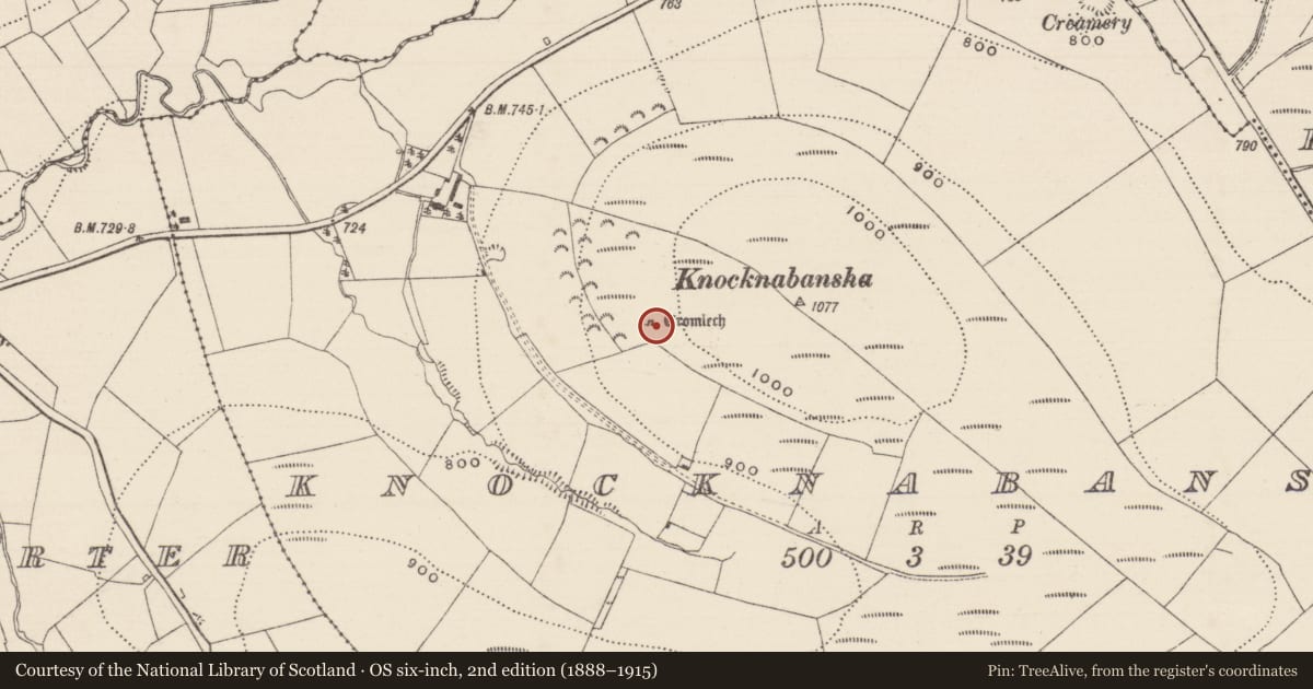 Ordnance Survey six-inch map, 2nd edition (1888–1915) covering the location of Megalithic tomb - wedge tomb, Knocknabansha, County Tipperary North, with a pin at the register's coordinates