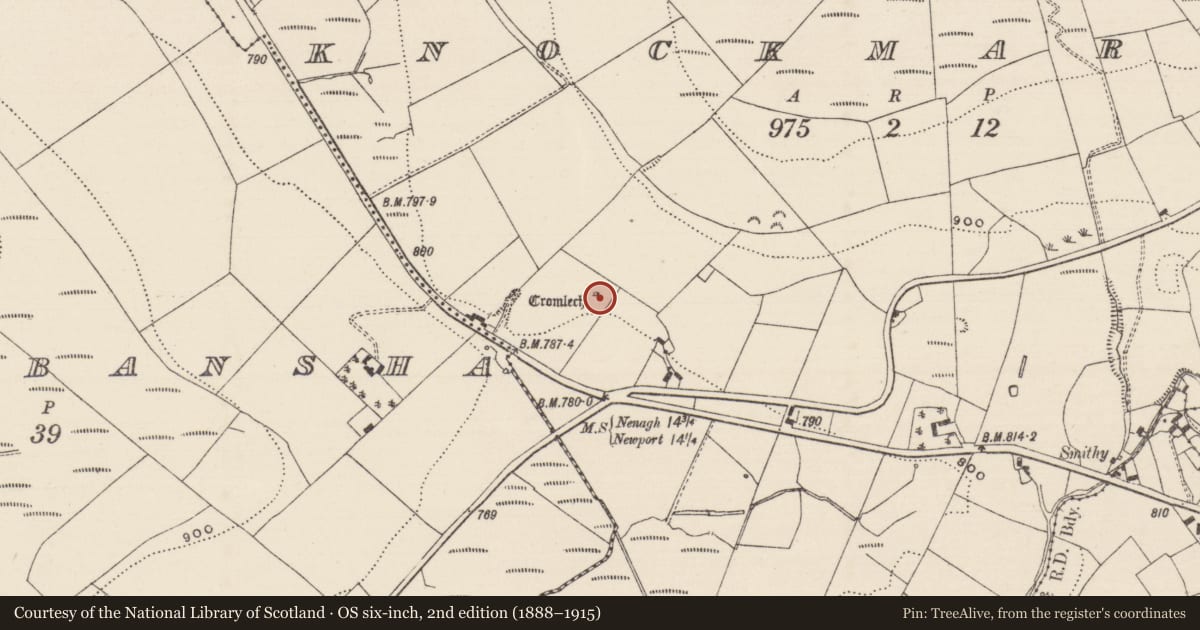 Ordnance Survey six-inch map, 2nd edition (1888–1915) covering the location of Megalithic tomb - wedge tomb, Knockmaroe, County Tipperary North, with a pin at the register's coordinates
