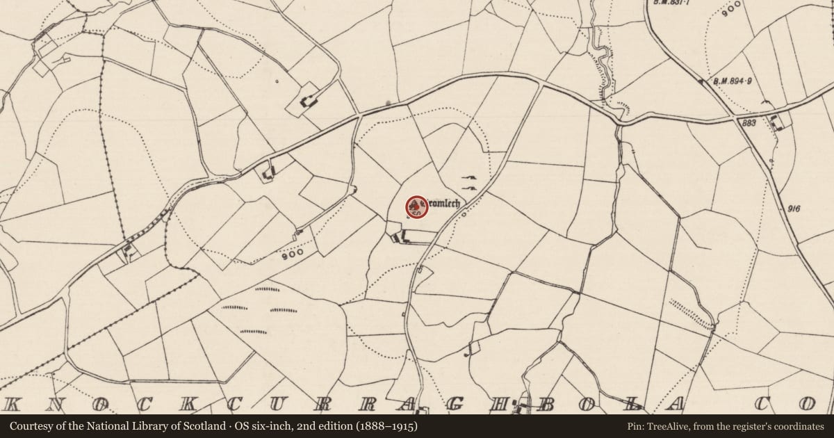 Ordnance Survey six-inch map, 2nd edition (1888–1915) covering the location of Megalithic tomb - wedge tomb, Knockcurraghbola Commons, County Tipperary North, with a pin at the register's coordinates