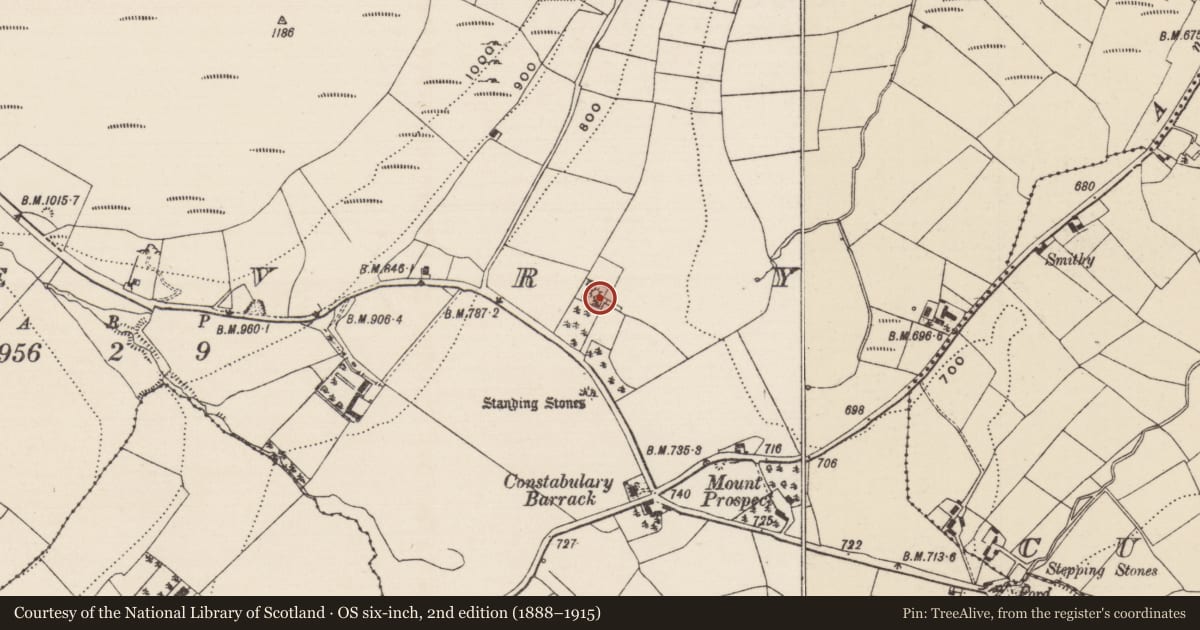 Ordnance Survey six-inch map, 2nd edition (1888–1915) covering the location of Castle - ringwork, Shevry, County Tipperary North, with a pin at the register's coordinates