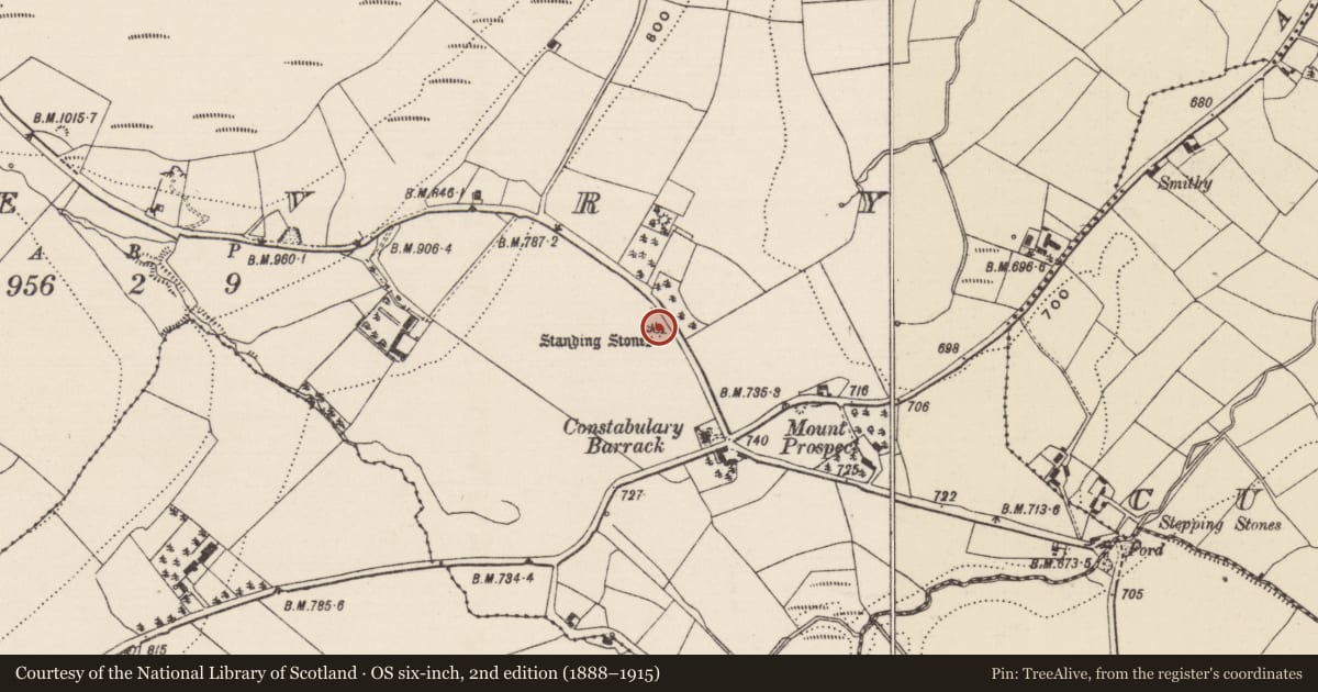Ordnance Survey six-inch map, 2nd edition (1888–1915) covering the location of Standing stone, Shevry, County Tipperary North, with a pin at the register's coordinates
