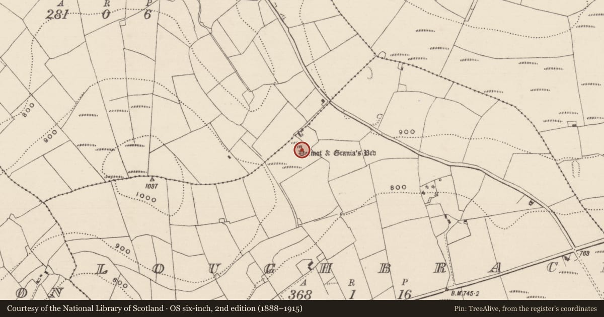 Ordnance Survey six-inch map, 2nd edition (1888–1915) covering the location of Megalithic tomb - wedge tomb, Loughbrack, County Tipperary North, with a pin at the register's coordinates