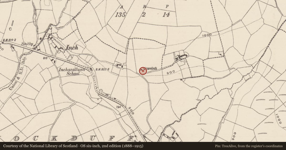 Ordnance Survey six-inch map, 2nd edition (1888–1915) covering the location of Megalithic tomb - wedge tomb, Knockcurraghbola Commons, County Tipperary North, with a pin at the register's coordinates
