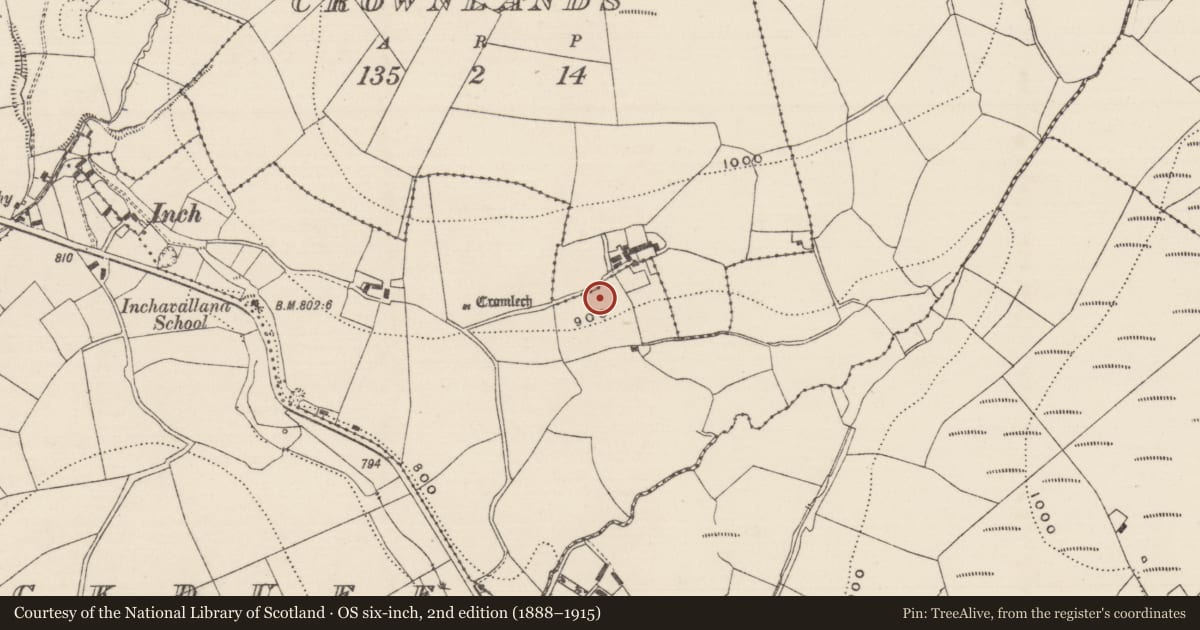 Ordnance Survey six-inch map, 2nd edition (1888–1915) covering the location of Megalithic tomb - wedge tomb, Knockcurraghbola Commons, County Tipperary North, with a pin at the register's coordinates