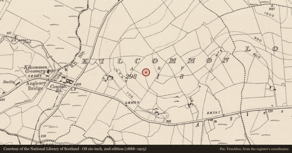 Ordnance Survey six-inch map, 2nd edition (1888–1915) covering the location of Enclosure, Kilcommon (Templebeg Par.), County Tipperary North, with a pin at the register's coordinates