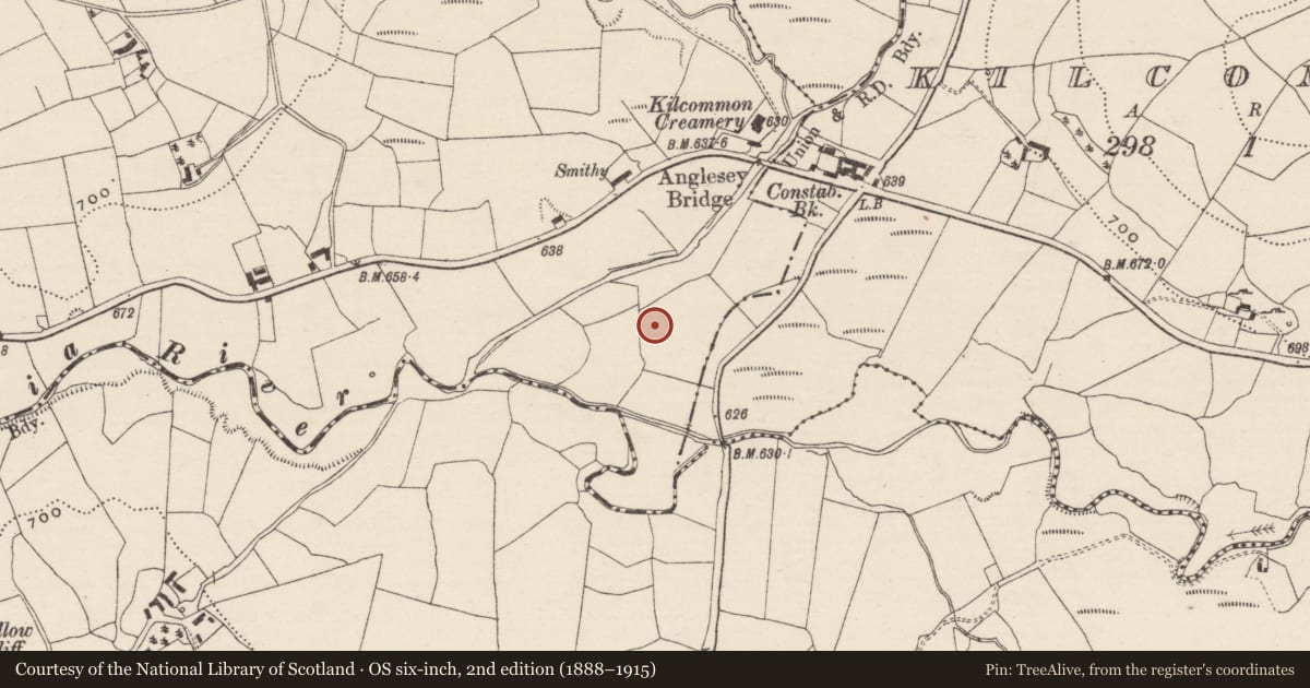 Ordnance Survey six-inch map, 2nd edition (1888–1915) covering the location of Ringfort - rath, Foildarragh, County Tipperary North, with a pin at the register's coordinates