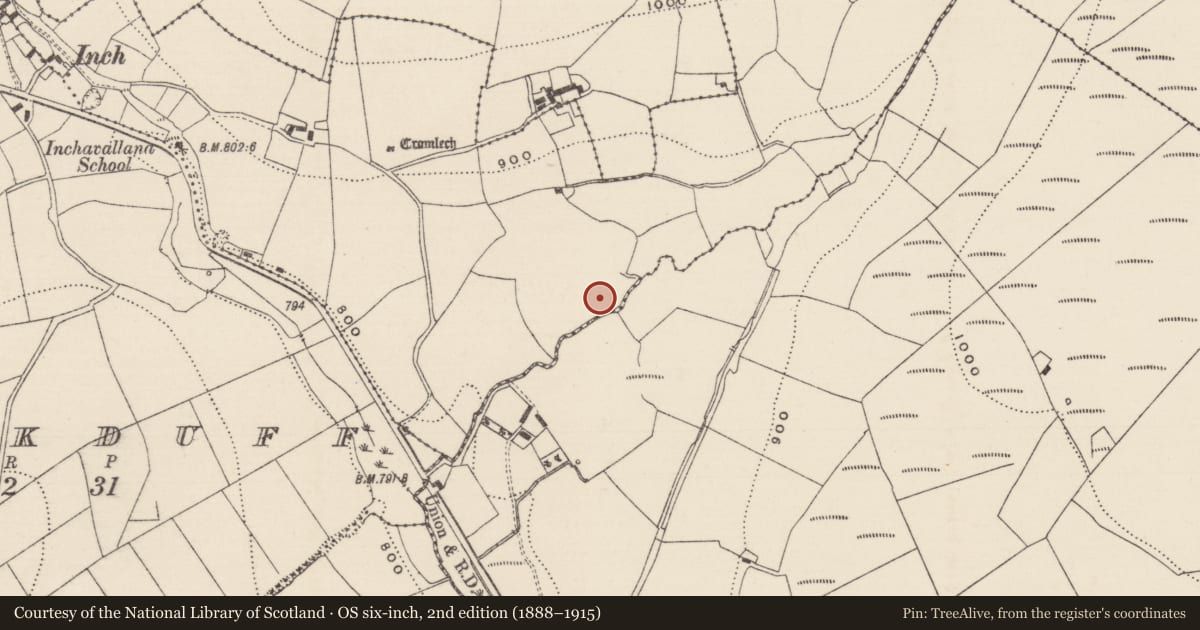 Ordnance Survey six-inch map, 2nd edition (1888–1915) covering the location of Megalithic tomb - unclassified, Knockcurraghbola Commons, County Tipperary North, with a pin at the register's coordinates