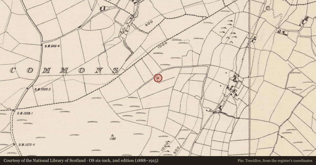 Ordnance Survey six-inch map, 2nd edition (1888–1915) covering the location of Cist, Shevry, County Tipperary North, with a pin at the register's coordinates