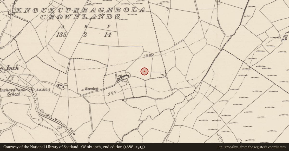 Ordnance Survey six-inch map, 2nd edition (1888–1915) covering the location of Standing stone, Knockcurraghbola Crownlands, County Tipperary North, with a pin at the register's coordinates