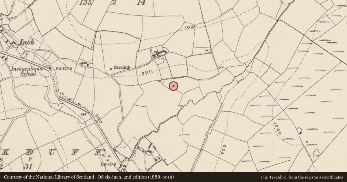 Ordnance Survey six-inch map, 2nd edition (1888–1915) covering the location of Standing stone, Knockcurraghbola Commons, County Tipperary North, with a pin at the register's coordinates
