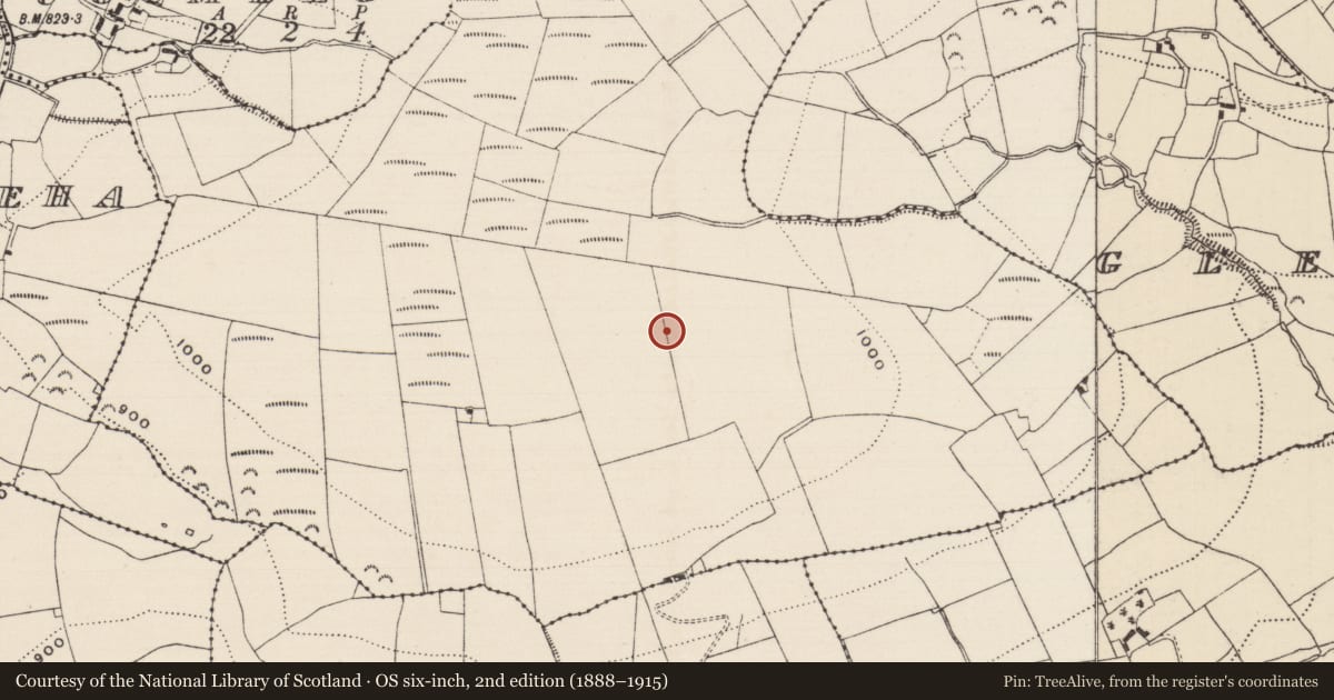 Ordnance Survey six-inch map, 2nd edition (1888–1915) covering the location of Barrow - ring-barrow, Knocknamena Commons, County Tipperary North, with a pin at the register's coordinates