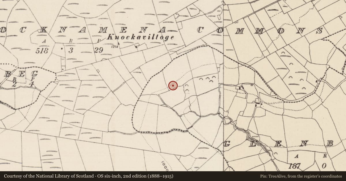 Ordnance Survey six-inch map, 2nd edition (1888–1915) covering the location of Barrow - ring-barrow, Glenbeg, County Tipperary North, with a pin at the register's coordinates