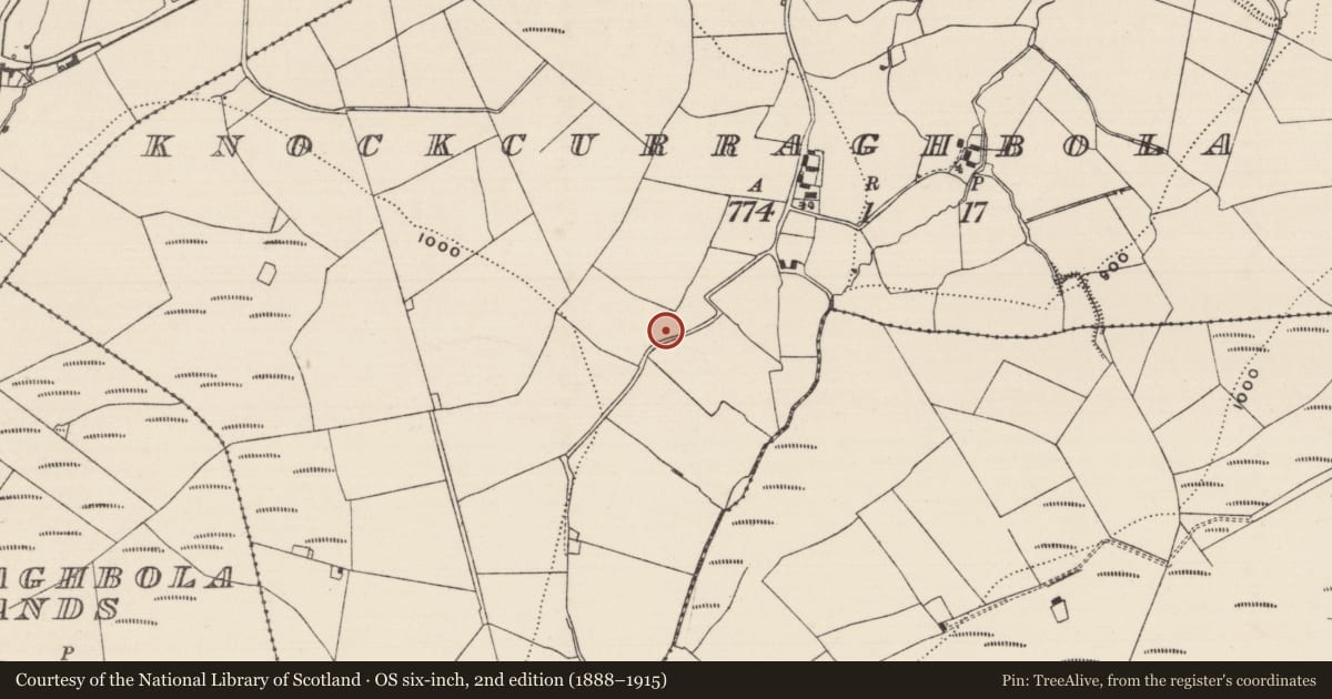 Ordnance Survey six-inch map, 2nd edition (1888–1915) covering the location of Megalithic tomb - unclassified, Knockcurraghbola Commons, County Tipperary North, with a pin at the register's coordinates