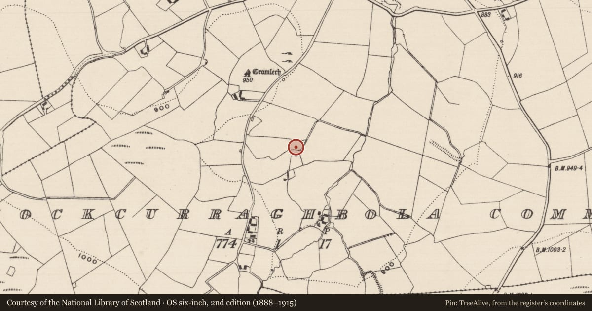 Ordnance Survey six-inch map, 2nd edition (1888–1915) covering the location of Fulacht fia, Knockcurraghbola Commons, County Tipperary North, with a pin at the register's coordinates