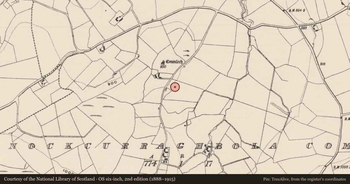 Ordnance Survey six-inch map, 2nd edition (1888–1915) covering the location of Stone row, Knockcurraghbola Commons, County Tipperary North, with a pin at the register's coordinates