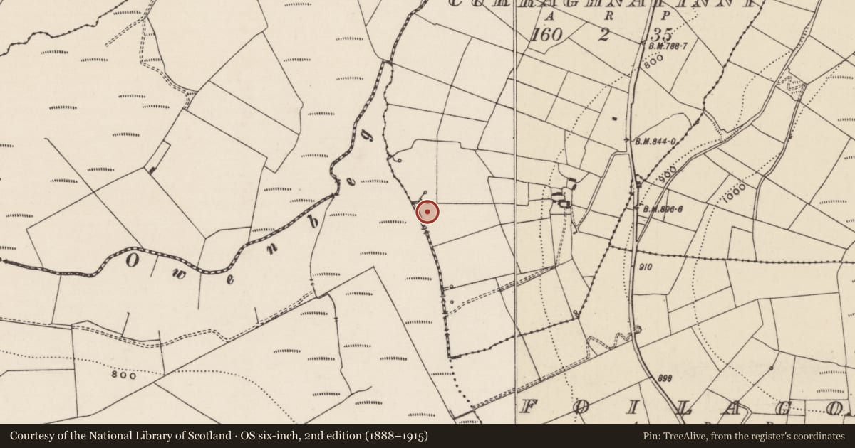 Ordnance Survey six-inch map, 2nd edition (1888–1915) covering the location of Fulacht fia, Curraghnatinny, County Tipperary North, with a pin at the register's coordinates