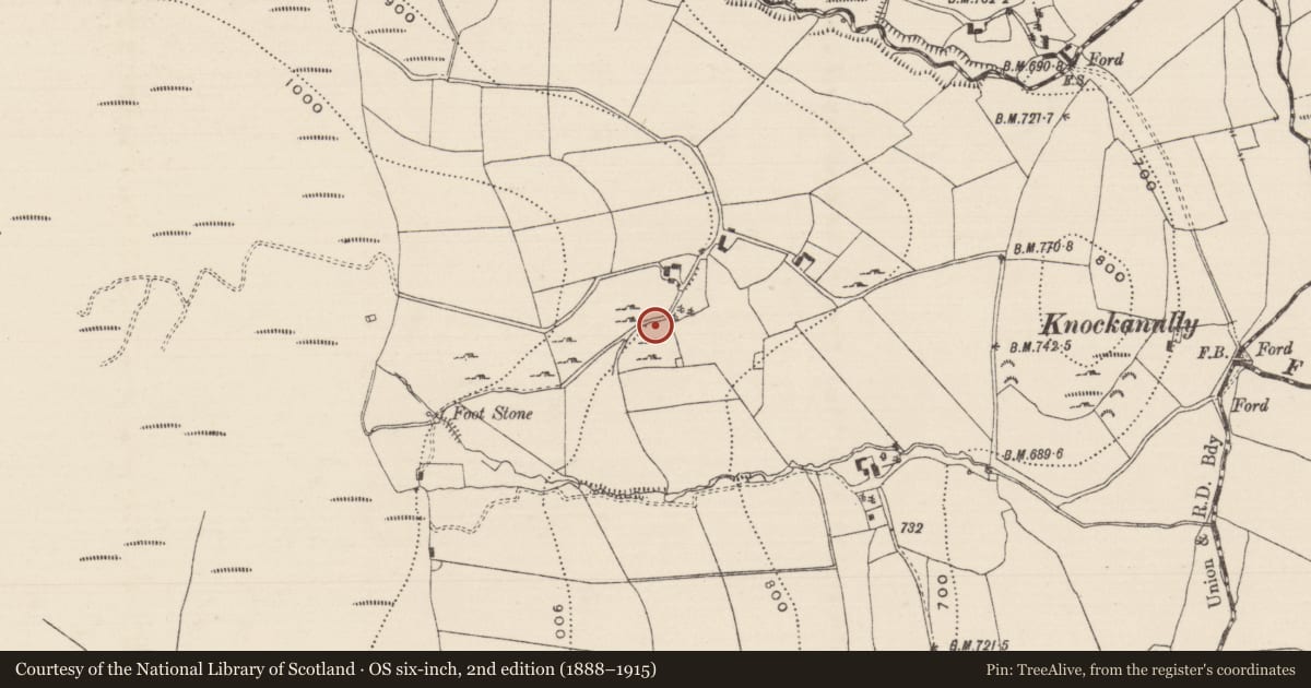 Ordnance Survey six-inch map, 2nd edition (1888–1915) covering the location of Penal Mass station, Laghile (Abington Par.), County Tipperary North, with a pin at the register's coordinates