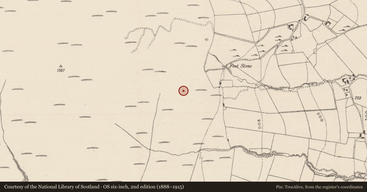 Ordnance Survey six-inch map, 2nd edition (1888–1915) covering the location of Standing stone, Laghile (Abington Par.), County Tipperary North, with a pin at the register's coordinates