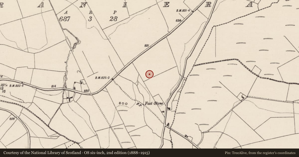 Ordnance Survey six-inch map, 2nd edition (1888–1915) covering the location of Enclosure, Graniera, County Tipperary North, with a pin at the register's coordinates