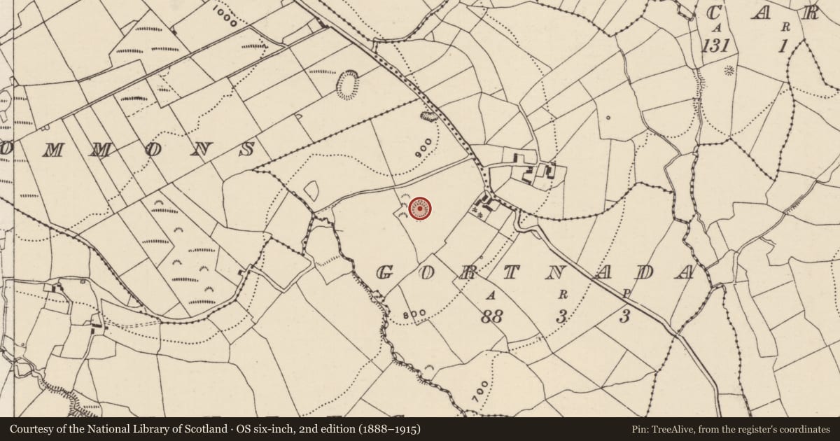 Ordnance Survey six-inch map, 2nd edition (1888–1915) covering the location of Ringfort - rath, Gortnada, County Tipperary North, with a pin at the register's coordinates