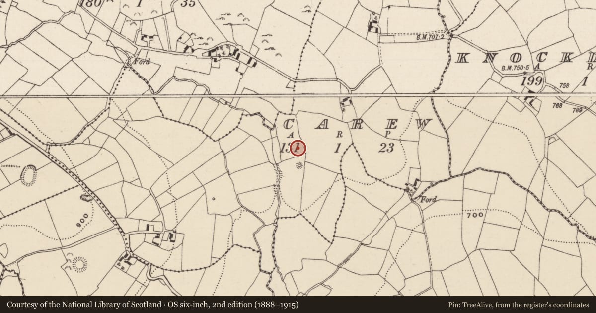 Ordnance Survey six-inch map, 2nd edition (1888–1915) covering the location of Barrow - bowl-barrow, Carew, County Tipperary North, with a pin at the register's coordinates