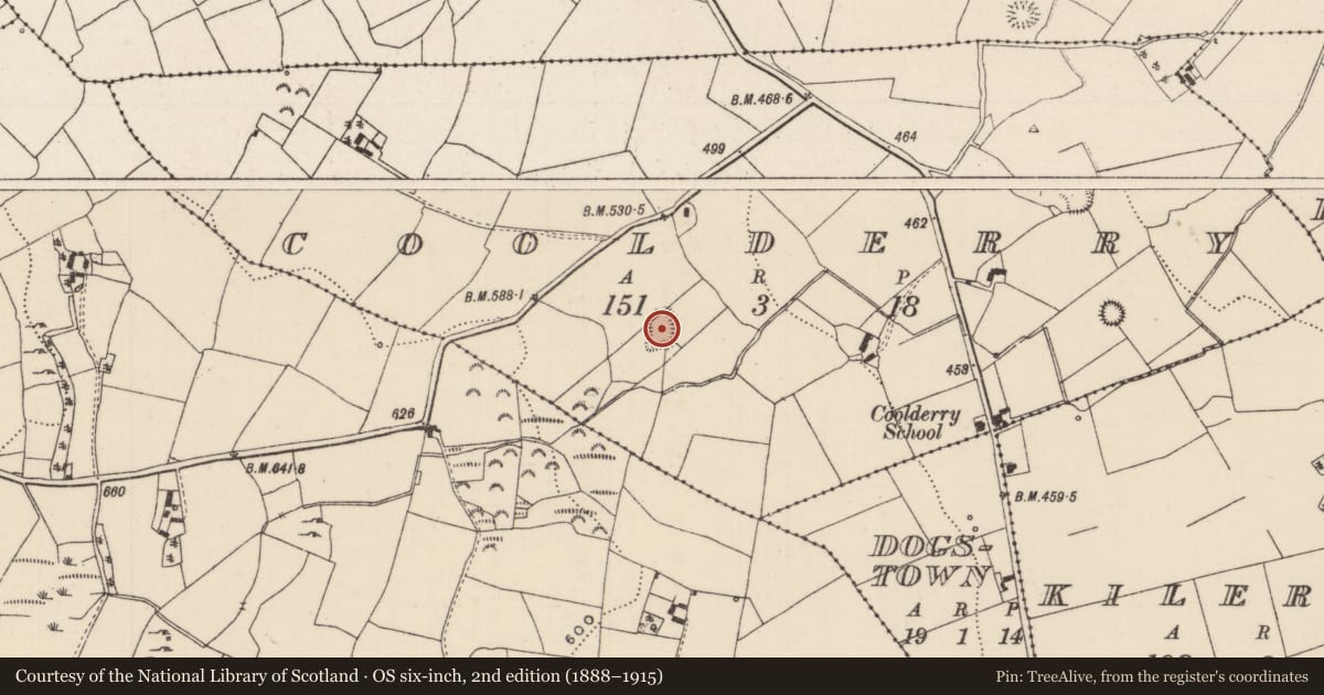 Ordnance Survey six-inch map, 2nd edition (1888–1915) covering the location of Ringfort - rath, Coolderry (Glenkeen Par.), County Tipperary North, with a pin at the register's coordinates