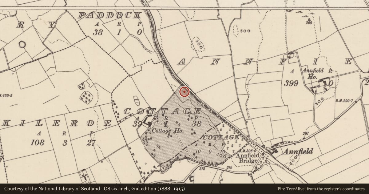 Ordnance Survey six-inch map, 2nd edition (1888–1915) covering the location of Earthwork, Cottage (Inch Par.), County Tipperary North, with a pin at the register's coordinates