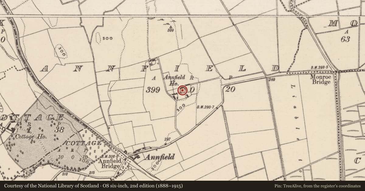 Ordnance Survey six-inch map, 2nd edition (1888–1915) covering the location of House - indeterminate date, Annfield, County Tipperary North, with a pin at the register's coordinates