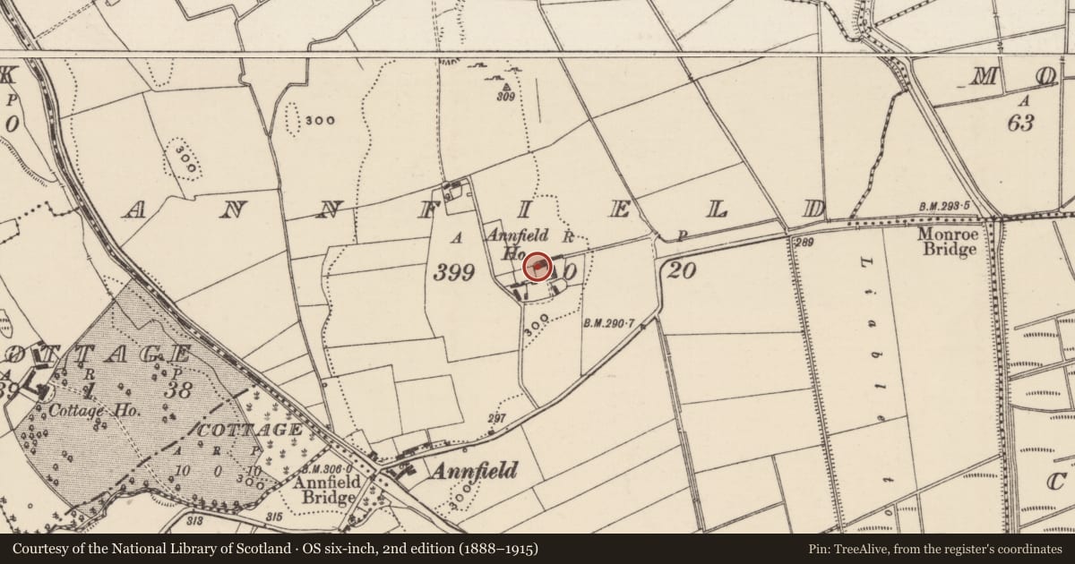 Ordnance Survey six-inch map, 2nd edition (1888–1915) covering the location of Bawn, Annfield, County Tipperary North, with a pin at the register's coordinates