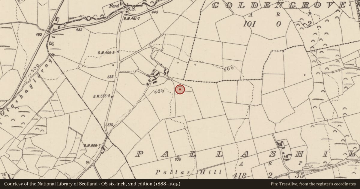 Ordnance Survey six-inch map, 2nd edition (1888–1915) covering the location of Ringfort - rath, Pallashill, County Tipperary North, with a pin at the register's coordinates