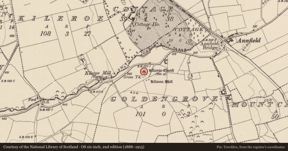 Ordnance Survey six-inch map, 2nd edition (1888–1915) covering the location of Church, Goldengrove, County Tipperary North, with a pin at the register's coordinates